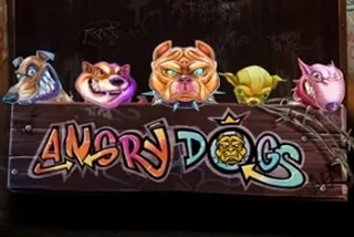 Angry Dogs